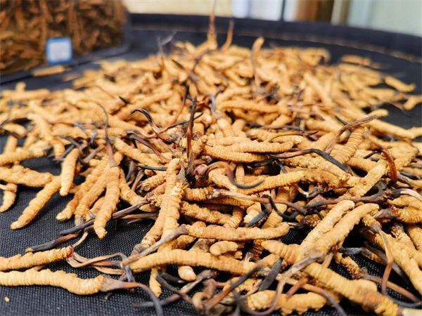 2024年特医食品行业发展现状、竞争格局及未来发展趋势与前景分析(图1)
