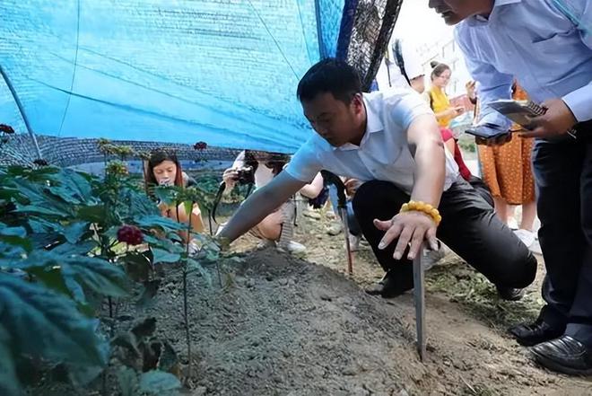 2016年百年参龄的人参被评为“参王”以168万被售给广东买家(图11)