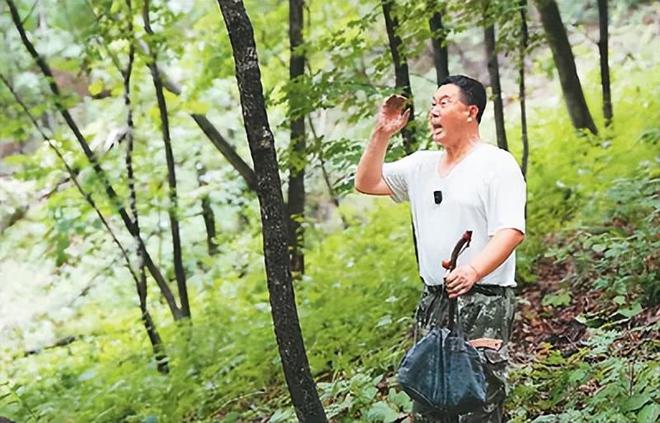 2016年百年参龄的人参被评为“参王”以168万被售给广东买家(图16)