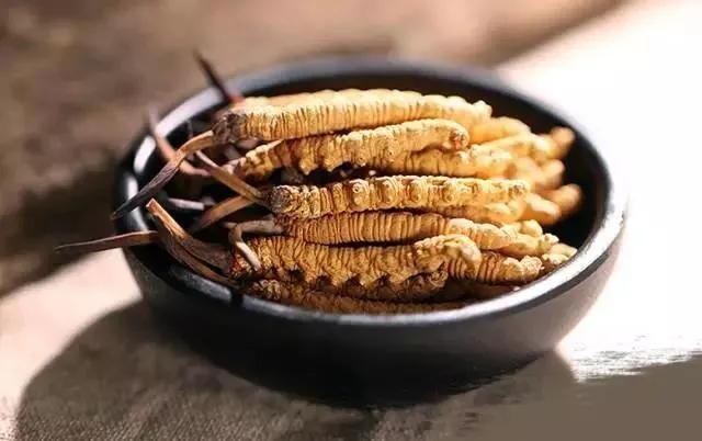 全国春季田管和春耕备耕“新新”向荣 科技赋能织就“智慧”春景(图1)