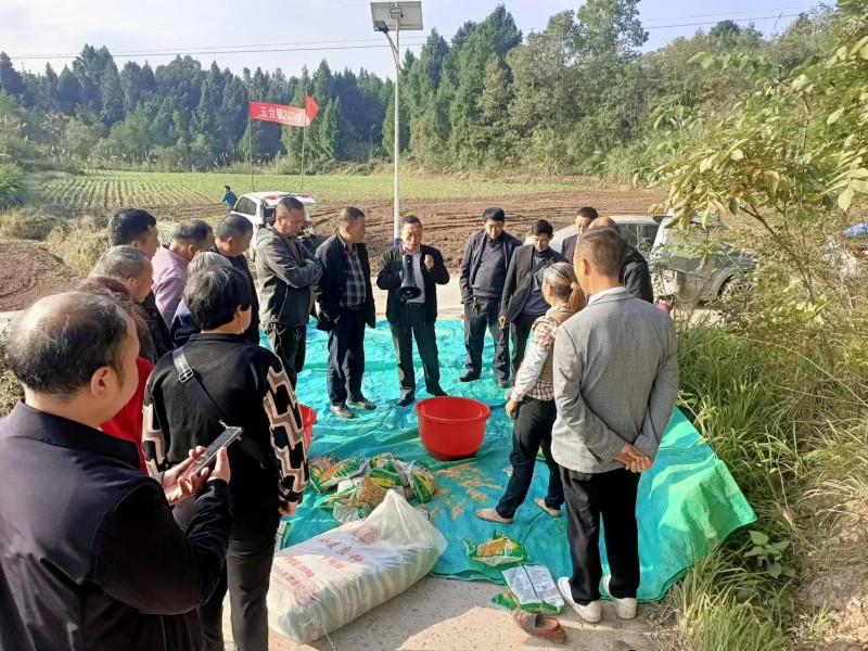 安徽各地：不误农时 不负春光(图1)