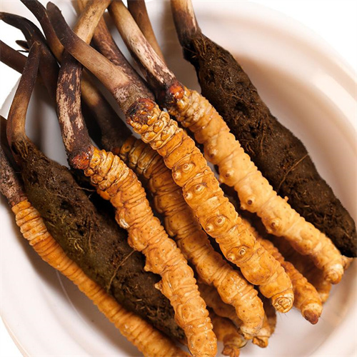 奏响法治最强音 凝聚发展正能量(图1)