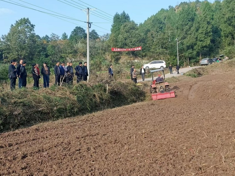 山东省2024年小麦秋季病虫草害综合防治技术指导意见(图1)