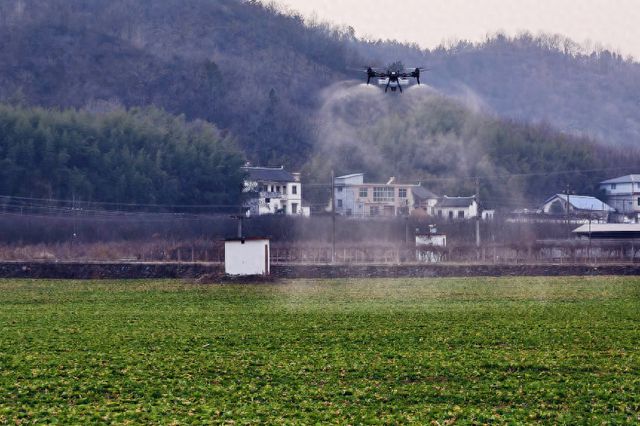 陕西商南：“飞防”助春管 油菜稳丰收(图1)