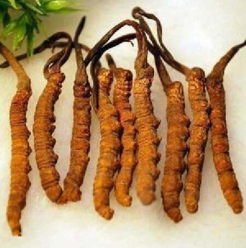 百山祖黑松露酱连续三年领跑赛道卤肉酱品类登顶(图1)