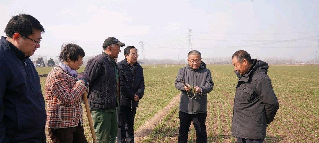 凤观 山东：万人下乡稳粮保供绘就“齐鲁粮仓”新图景(图2)