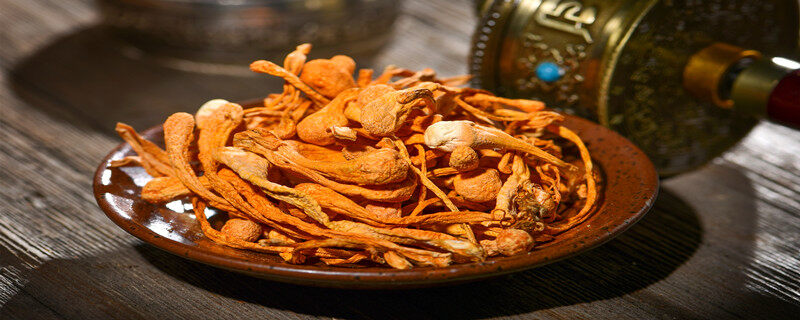 虫草花是染色的吗(图1)