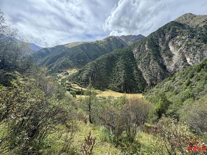 特稿丨90后机械工变身植物科普博主在海拔4000米高原修筑“梦想中的植物园”(图2)