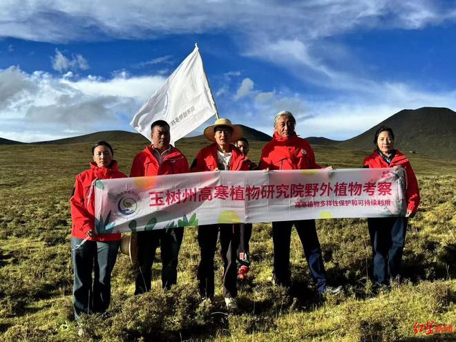 特稿丨90后机械工变身植物科普博主在海拔4000米高原修筑“梦想中的植物园”(图3)