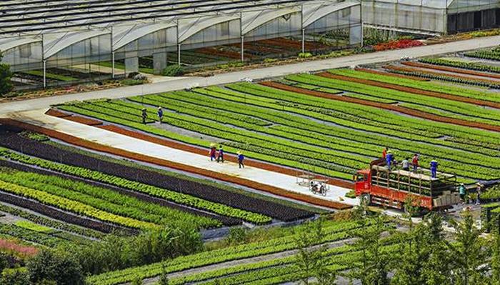 2024年高素质农民跟踪服务培训班圆满举行(图1)