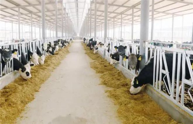 被三国强占约70年的领土我国不费一兵卒收回价值究竟有多大？(图33)