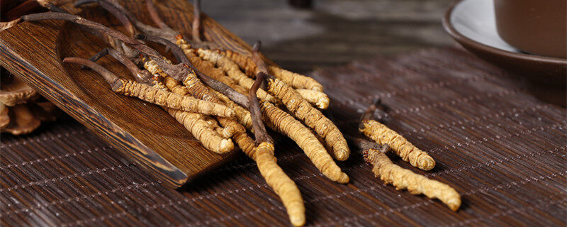 人工种植冬虫夏草与天然的区别(图1)