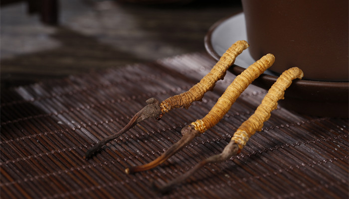 人工种植冬虫夏草与天然的区别(图3)