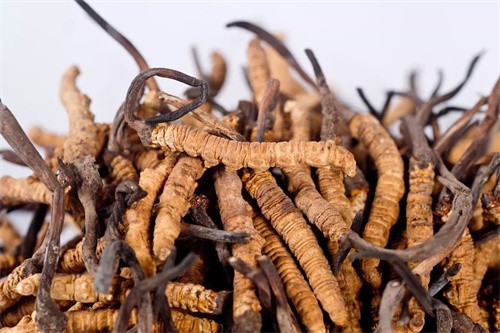 2024年优质稻米典型案例发布 常州市4个案例入选(图1)