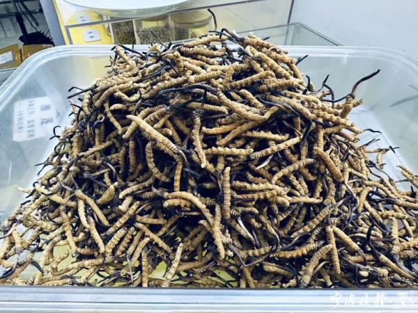 【六安好人周周见】冯晓霞：植保站长秉承“三牛”精神 40年甘当“庄稼医生”(图1)