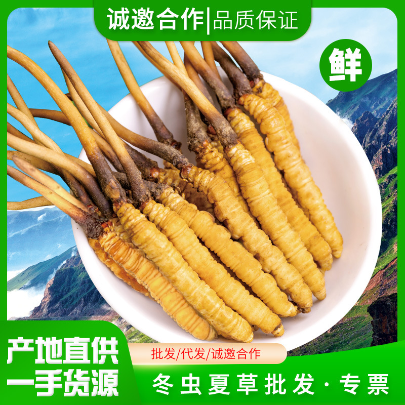 六安市积极组织观看“好人安徽”特别节目(图1)