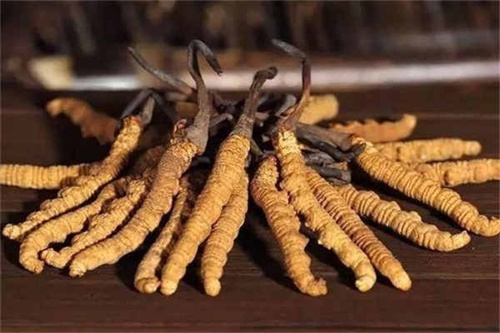 技术引领创新驱动康之春以专业聚焦铸就未来无限可能(图1)