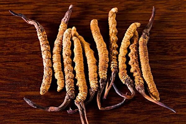 阳光保险多措并举 赋能乡村特色产业高质量发展(图1)