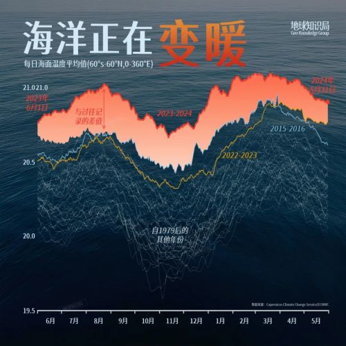 中国海岸线不能没有这种草(图1)