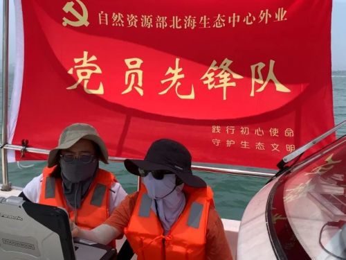 中国海岸线不能没有这种草(图7)