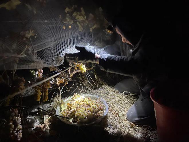 凌晨2点的雅江河畔藏区这张新名片正在酝酿新机(图3)