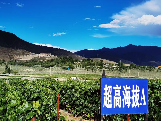 凌晨2点的雅江河畔藏区这张新名片正在酝酿新机(图6)