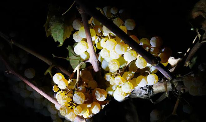 凌晨2点的雅江河畔藏区这张新名片正在酝酿新机(图4)