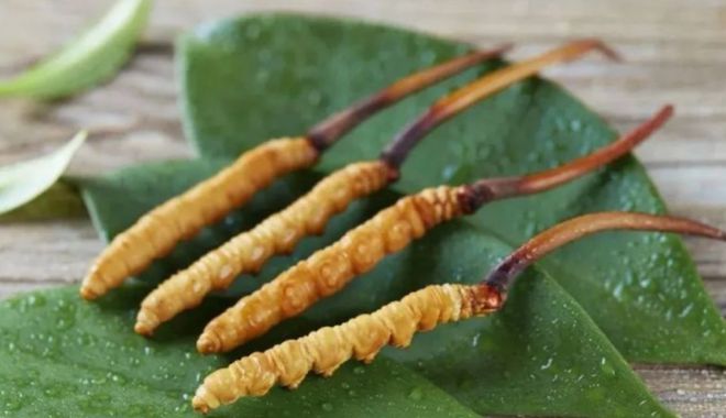 湖北人懵圈了天天吃热干面竟不知自家有这么多顶级隐藏特产！(图3)