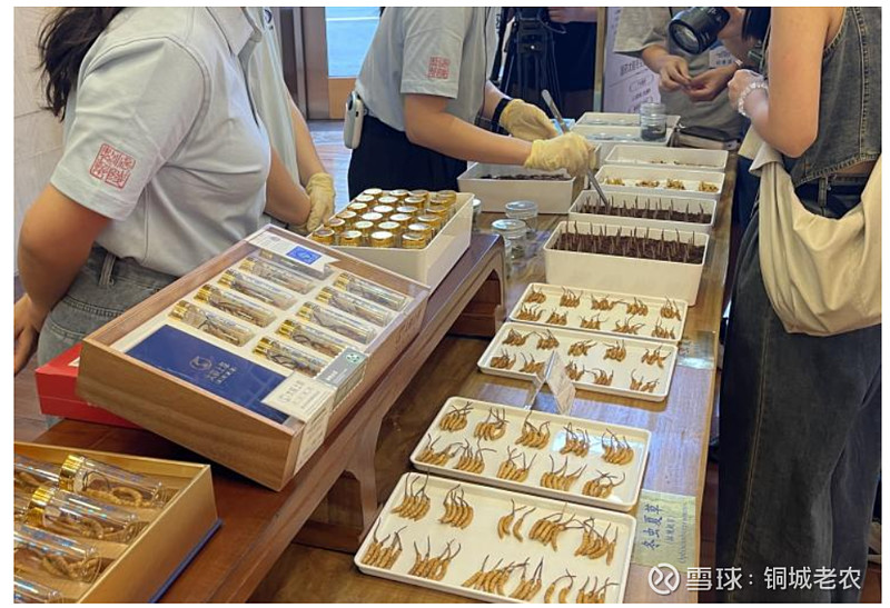 湖北宜都市：攻克难题 冬虫夏草仿生态繁育技术实现突破_基地风采_食用菌新闻_中国食用菌商务网(图1)