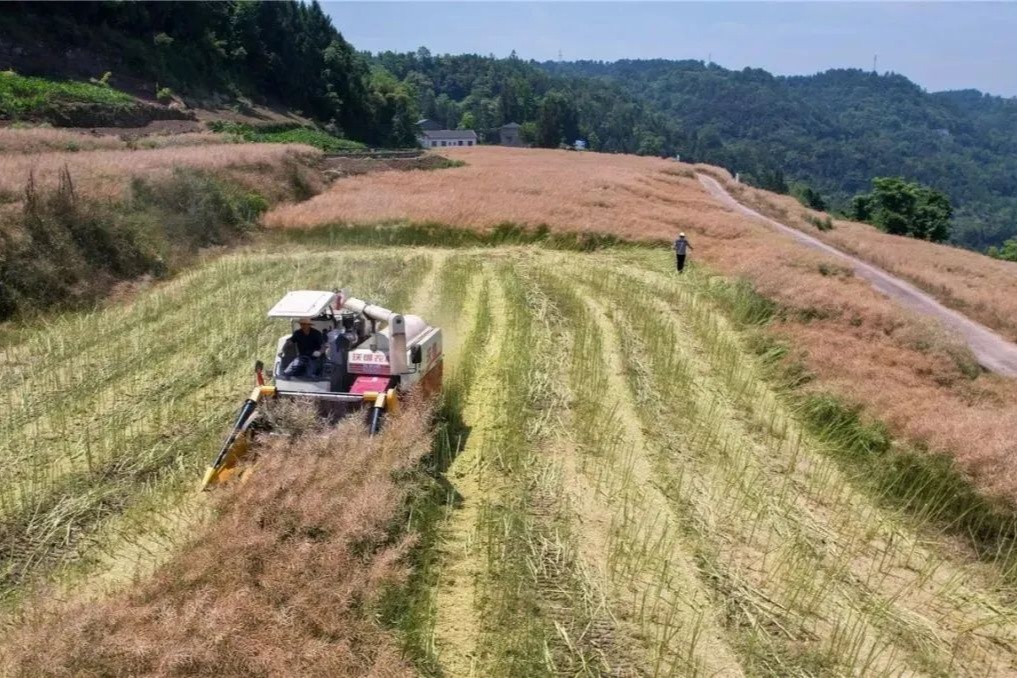 重庆云阳一案例入选全国典型(图1)