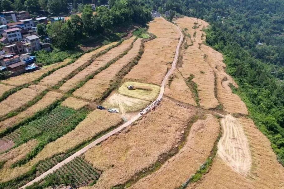 重庆云阳一案例入选全国典型(图2)