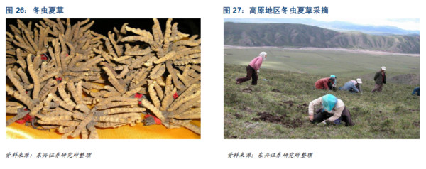 农业农村部：近10年我国主要粮食作物良种已迭代升级两轮(图1)