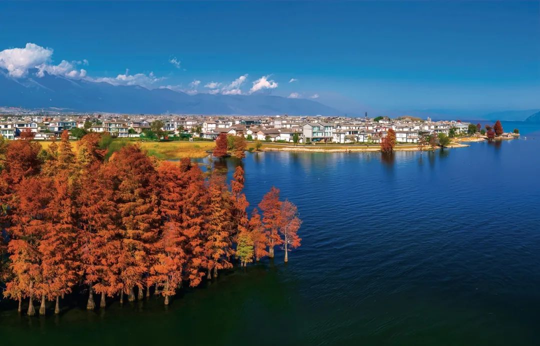 习近平与美丽中国建设丨“一定要把洱海保护好”——云南省大理州干部群众访谈录(图1)