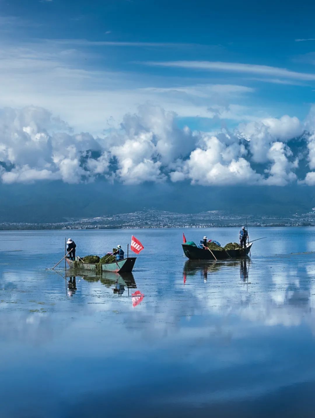 习近平与美丽中国建设丨“一定要把洱海保护好”——云南省大理州干部群众访谈录(图5)