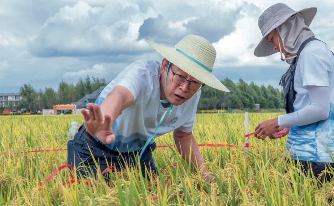 习近平与美丽中国建设丨“一定要把洱海保护好”——云南省大理州干部群众访谈录(图6)