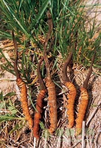 七一视角-七一网(图1)