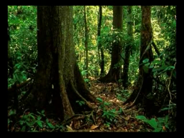 警惕！47个伪农业创业项目吃药一定要谨慎！(图1)