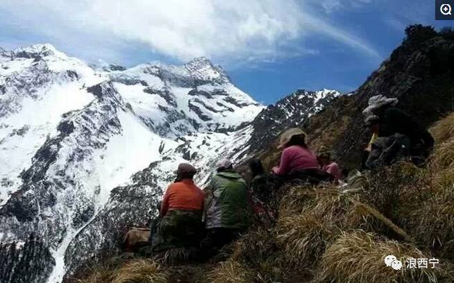 实拍：村民雪山挖虫草的辛酸看完才知生活不易！(图2)