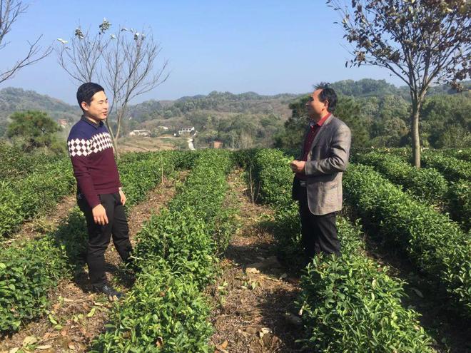 情系农技推广 勤恳务实工作 农业科技工作者王忠亮(图1)