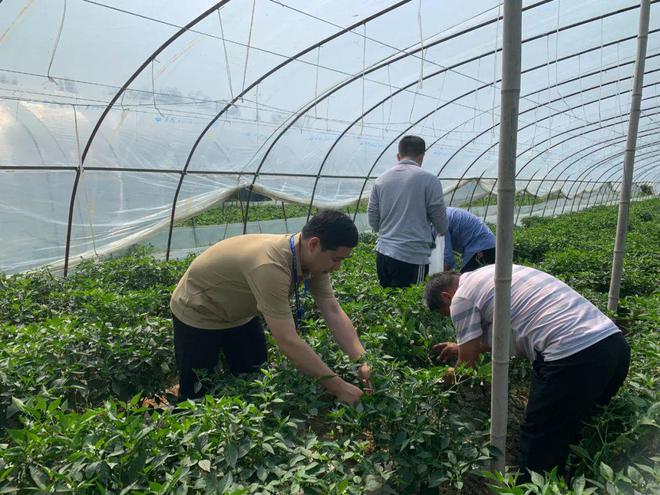 情系农技推广 勤恳务实工作 农业科技工作者王忠亮(图4)