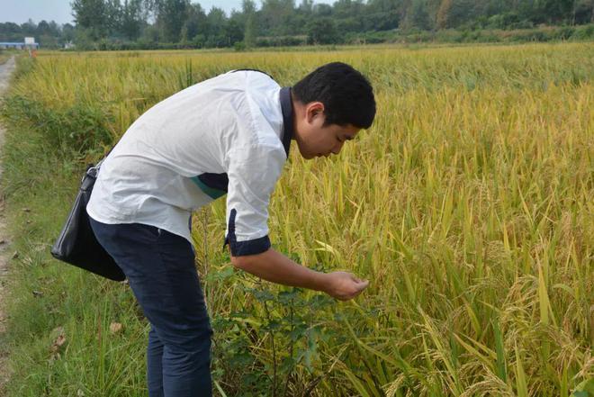 情系农技推广 勤恳务实工作 农业科技工作者王忠亮(图2)