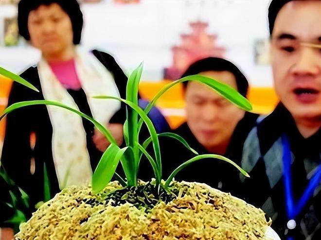 曾经火极一时后来“跌落神坛”的五大商品你买过几种？(图13)