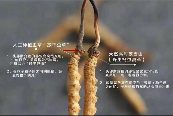 曾经火极一时后来“跌落神坛”的五大商品你买过几种？(图35)
