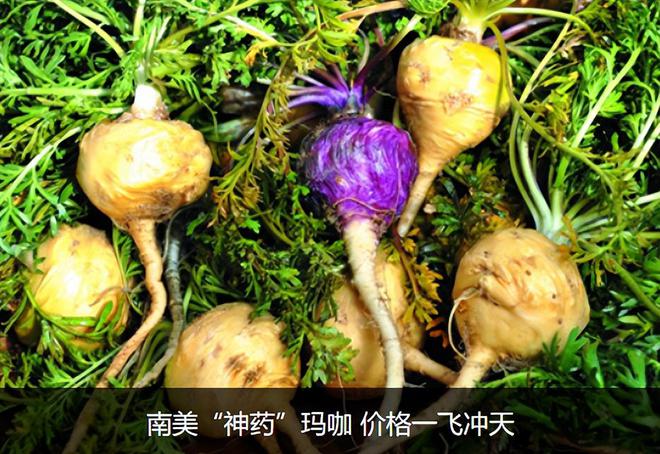 曾经火极一时后来“跌落神坛”的五大商品你买过几种？(图37)