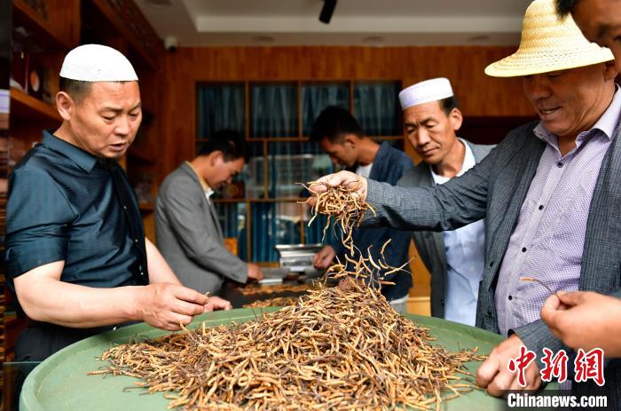 西藏拉萨：冬虫夏草交易忙(图4)