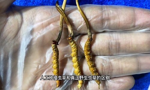 服装厂的行情现在好起来了吗？(图1)