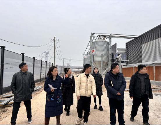 息县：一枚“小”鸡蛋孵出乡村振兴“大”产业(图1)