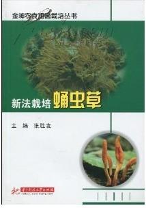宁德柘荣：匠心守文脉 非遗赋振兴(图1)