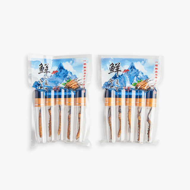新鲜的冬虫夏草川西高原当季挖采错过等一年！(图10)