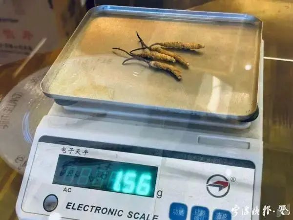 人工种植的冬虫夏草究竟是“仙草”还是“妖草”？(图4)